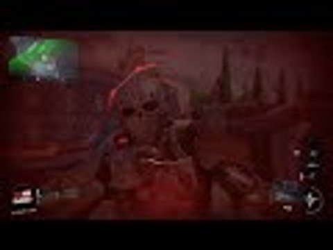 Black Ops 3-Fist Punch (PM)