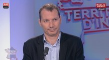 Invité : David Cormand - Territoires d'infos (15/07/2016)