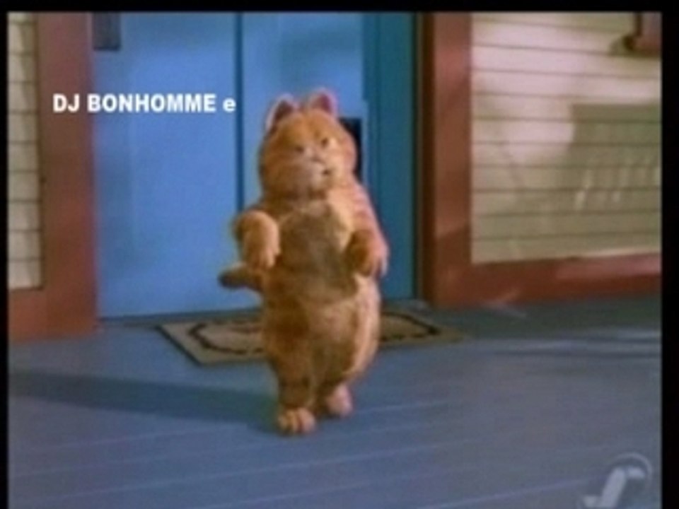 Le chat ki dance