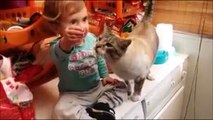 Ce bébé donne à manger au chat par le mauvais trou