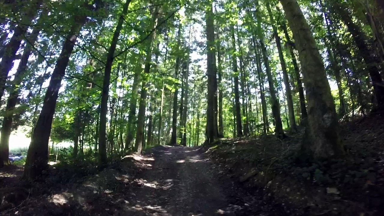 Forêt et Campagne Merlas Pays Voironnais