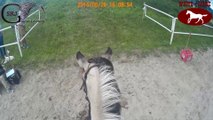 2016-06-26 TREC PTV-Leszczynówka