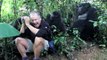 Un photographe surpris par un bébé gorille et sa mère : flippant mais tellement beau
