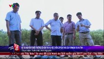 Bộ TN&MT sẽ kiểm tra vụ việc chôn lấp bùn thải của Formosa tại Hà Tĩnh