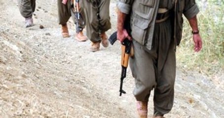 PKK'nın Sözde "Gap-Ruha Alan Sorumlusu" Öldürüldü!