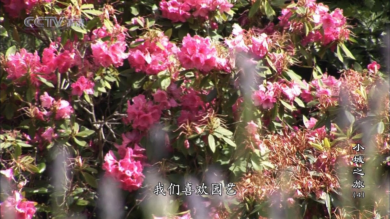 E04英属哥伦比亚－黄金海岸