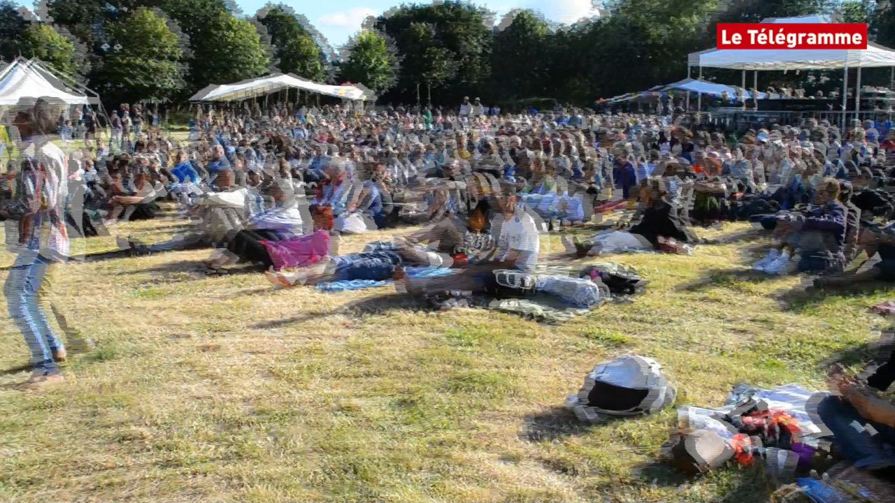 La Roche-Jagu (22). Le bonheur est dans la prairie !