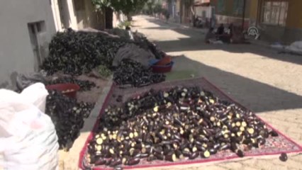 Patlıcan Vadisi"Nden İki Kıtaya İhracat - Aydın