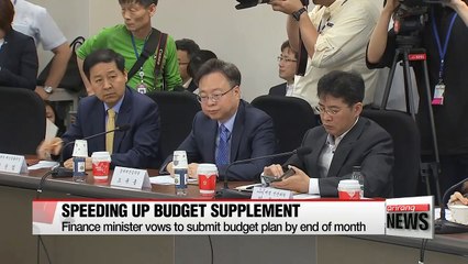 Finance minister vows to speed up supplementary budget proposal