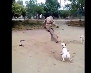 Funny Arab video Pranks 2016-Funny Arab Video