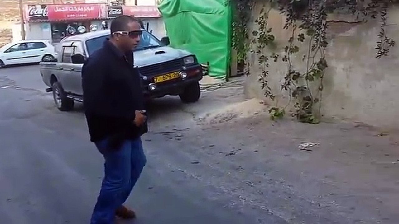 Dog vs Biggest snake Piton