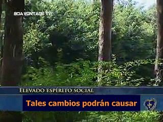 Elevado espíritu social - PAIVA NETTO - Ecumenismo - RELIGIÓN DE DIOS