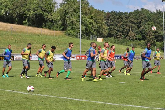 En Suisse avec les Verts !