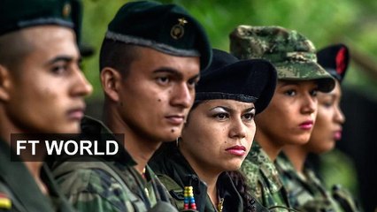 The last days inside a Farc rebel camp