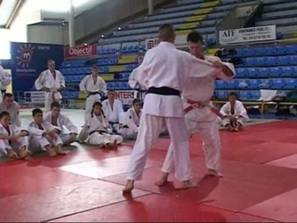 JUDO Uki otoshi par P. Roux