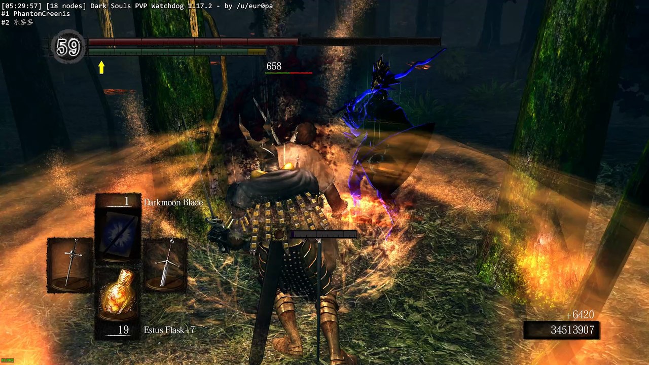 Dark Souls 12.JUL.2016 - 05.29.23.09 pvp only is for casuals