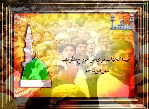 Sahibzada Sultan Ahmad ALI Sb stating a Hadith about The Punishment for Dealing with Riba (Interest and Usury) .