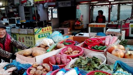 Busan en Corée du sud, un doux parfum de francophilie - Terres d'alliance