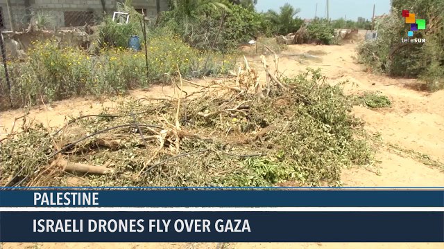 Palestine: Israel Launches Several Airstrikes In Gaza