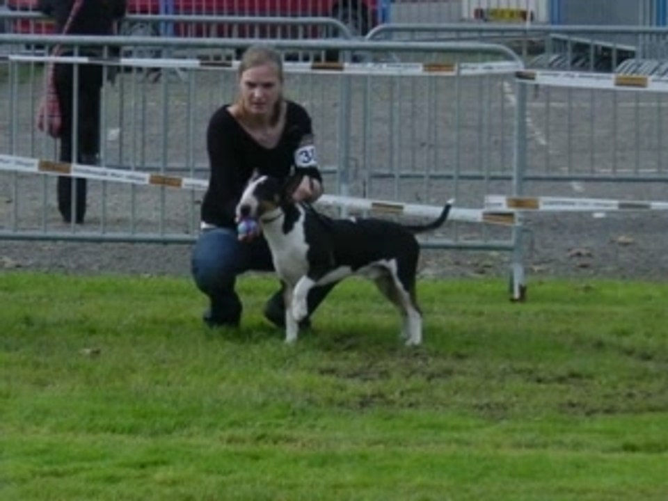 alliace et cisco