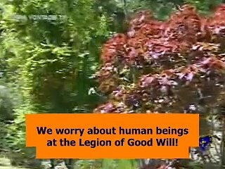 The Capital of God - PAIVA NETTO - Ecumenism - RELIGION OF GOD