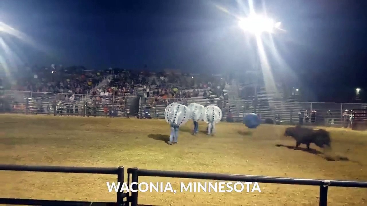 Drôle de rodéo où des gars déguisés en ballons se font dégommer par un taureau vénère!!!