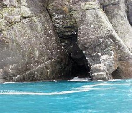 Kenai Fjords National Park Bing Summer Road Trip