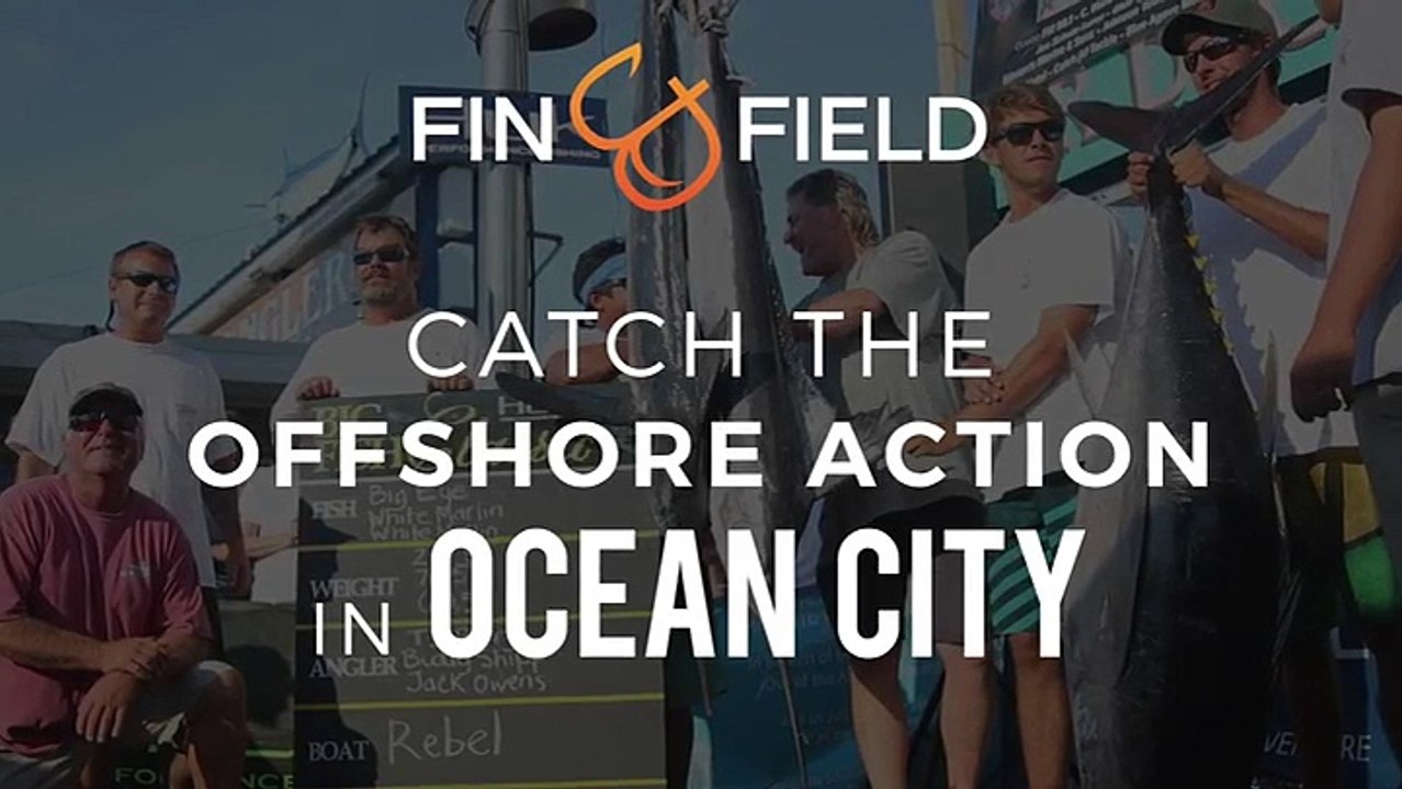2016 Fin & Field Web Promo
