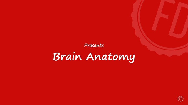 Brain Anatomy | Medical Education | HD Video | F1 Digitals