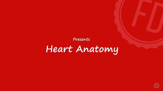 Heart Anatomy | Medical Education | HD Video | F1 Digitals