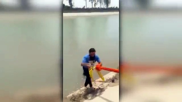 Man Uses Turban To Save Drowning Dog - Sikh man removes turban to rescue drowning dog [FULL VIDEO]