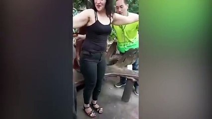 Un orang-outan un peu c0quin pelote allègrement une touriste pendant un shooting au Zoo...