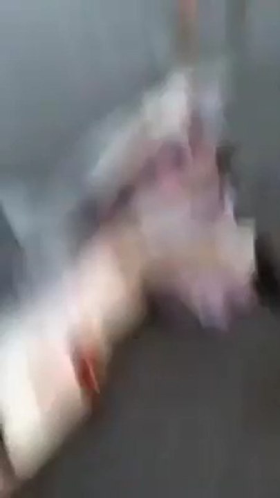 Dolfan fish samandur k kinare a kar mar gai us k andar se kia nikla dekh kar ap ki ankhen khuli ki khuli reh jayen gi