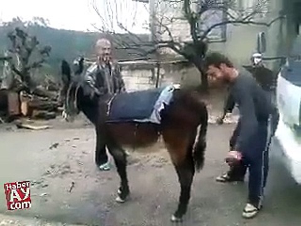 Ye log is gadhe k sath kia harkat kar rahe hain in ko zara sharam ni ai