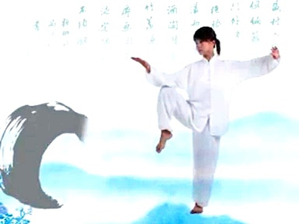 Taichi Chen style 22 forms routine.DAT