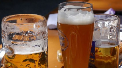 Le proprietà benefiche della birra