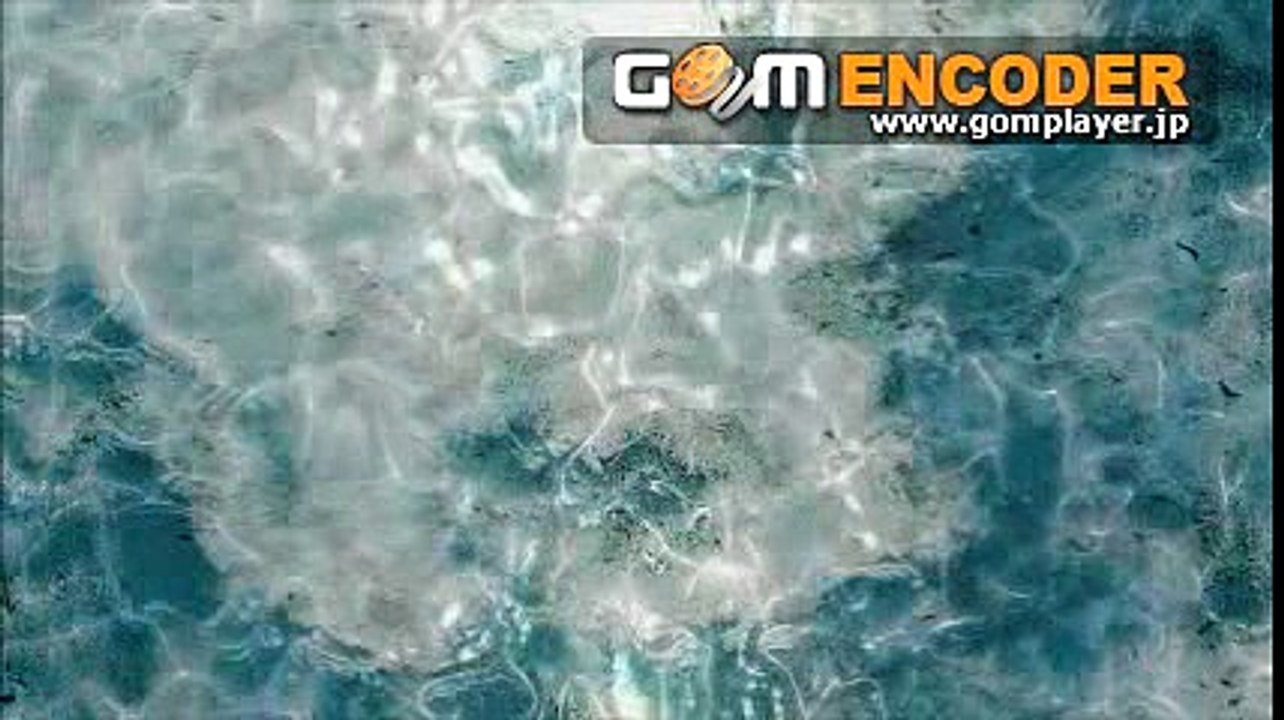 白鵬　動画