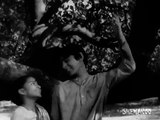 Devdas | Dilip Kumar, Vyjayanthimala, Suchitra Sen | Superhit Classic Bollywood Movie