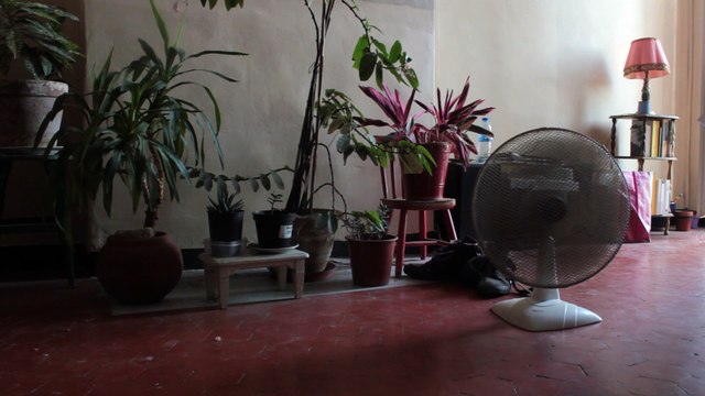 Entretien avec Nathalie Hugues et Nicola Bergamaschi réalisateurs du film Ce qui arriva l'année 13 lapin