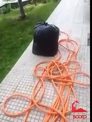 Scorp -Türk Olduğunu Belli Et