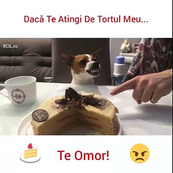 Quiz rol ro Facebook 6 V deo Dailymotion