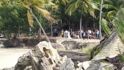 חתונה על החוף Wedding on the Beach Near Port Douglas