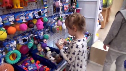 Кошка Мурка питомец Кати и Макса VLOG покупаем все необходимое для кошек Kittie care cat pets sets