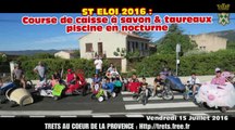 ST ELOI 2016 : 3e course de caisse à savon et Tauneaux Piscine : TRETS 15Juill2016
