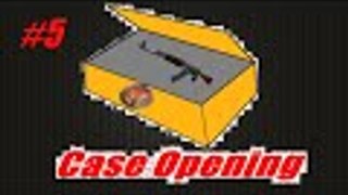 Case Opening #5 - Naja - Counter-Strike Global Offensive