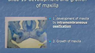Slide 15: Development and growth of maxilla