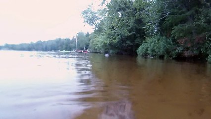 There's a Monster Snapping Turtle Living Under My Dock