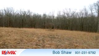 Residential for sale - 0 Highway 20, Summertown, TN 38483