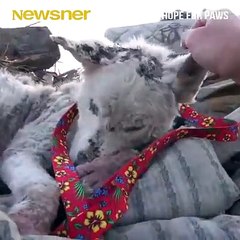 Todos merecemos una nueva oportunidad.