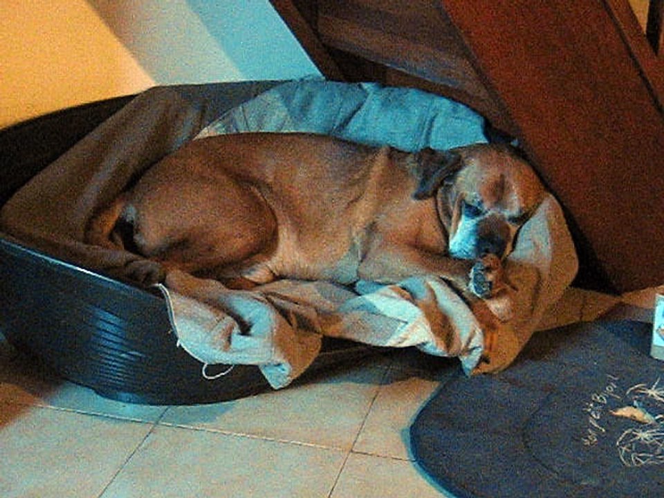 MVI_0308 Je rêve........